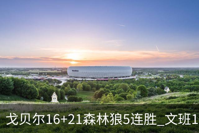 戈贝尔16+21森林狼5连胜 文班12+10马刺15连败